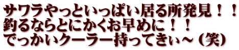 サワラやっといっぱい居る所発見！！ 釣るならとにかくお早めに！！ でっかいクーラー持ってきぃ～（笑）