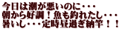 今日は潮が悪いのに・・・ 朝から好調！魚も釣れたし・・・ 暑いし・・・定時昼過ぎ納竿！！