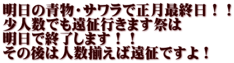 明日の青物・サワラで正月最終日！！ 少人数でも遠征行きます祭は 明日で終了します！！ その後は人数揃えば遠征ですよ！