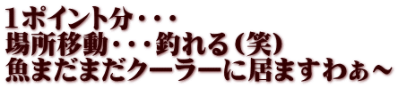 1ポイント分・・・ 場所移動・・・釣れる（笑） 魚まだまだクーラーに居ますわぁ～