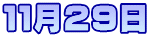 １１月２９日