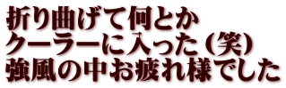 折り曲げて何とか クーラーに入った（笑） 強風の中お疲れ様でした