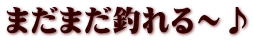 まだまだ釣れる～♪