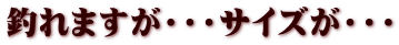 釣れますが・・・サイズが・・・