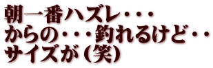 朝一番ハズレ・・・ からの・・・釣れるけど・・ サイズが（笑）