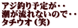 アジ釣り予定が・・ 潮が流れないので・・ タチウオ（笑）