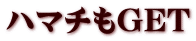 ハマチもGET