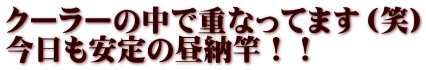 クーラーの中で重なってます（笑） 今日も安定の昼納竿！！