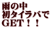 雨の中 初タイラバで GET！！