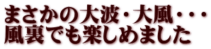 まさかの大波・大風・・・ 風裏でも楽しめました