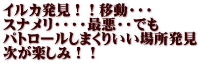 イルカ発見！！移動・・・ スナメリ・・・・最悪・・でも パトロールしまくりいい場所発見 次が楽しみ！！