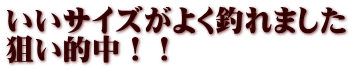 いいサイズがよく釣れました 狙い的中！！