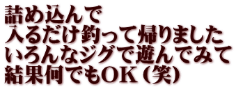 詰め込んで 入るだけ釣って帰りました いろんなジグで遊んでみて 結果何でもOK（笑）