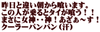 昨日と違い朝から喰います。 この人が乗るとタイが喰う！！ まさに女神・・神！あざぁ～す！ クーラーパンパン（汗）