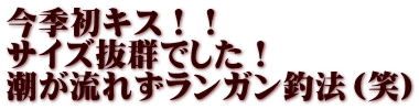 今季初キス！！ サイズ抜群でした！ 潮が流れずランガン釣法（笑）