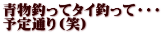 青物釣ってタイ釣って・・・ 予定通り（笑）