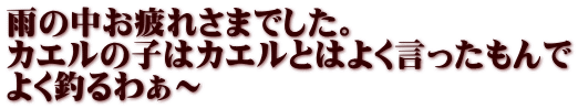 雨の中お疲れさまでした。 カエルの子はカエルとはよく言ったもんで よく釣るわぁ～