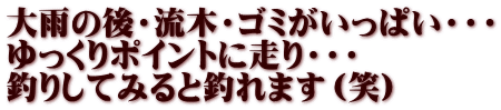 大雨の後・流木・ゴミがいっぱい・・・ ゆっくりポイントに走り・・・ 釣りしてみると釣れます（笑）