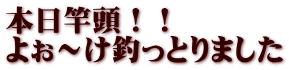 本日竿頭！！ よぉ～け釣っとりました