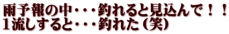 雨予報の中・・・釣れると見込んで！！ 1流しすると・・・釣れた（笑）