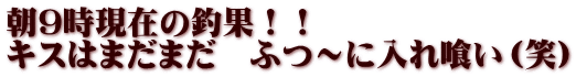 朝9時現在の釣果！！ キスはまだまだ　ふつ～に入れ喰い（笑） 