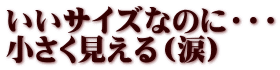 いいサイズなのに・・・ 小さく見える（涙）