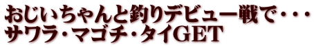 おじいちゃんと釣りデビュー戦で・・・ サワラ・マゴチ・タイGET