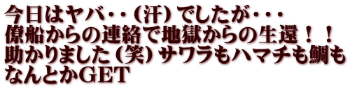 今日はヤバ・・（汗）でしたが・・・ 僚船からの連絡で地獄からの生還！！ 助かりました（笑）サワラもハマチも鯛も なんとかGET