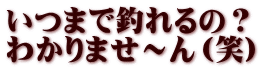 いつまで釣れるの？ わかりませ～ん（笑）