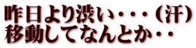 昨日より渋い・・・（汗） 移動してなんとか・・