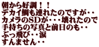 朝から好調！！ デカイ鯛も連れたのですが・・ カメラのSDが・・・壊れたので 手持ちの写真と前日のも・・ ぶっ飛び・・涙 すんません・・