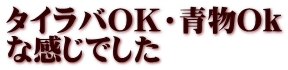 タイラバOK・青物Ok な感じでした