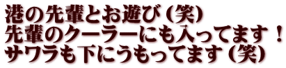 港の先輩とお遊び（笑） 先輩のクーラーにも入ってます！ サワラも下にうもってます（笑）