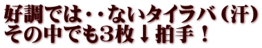 好調では・・ないタイラバ（汗） その中でも３枚↓拍手！