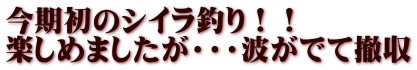 今期初のシイラ釣り！！ 楽しめましたが・・・波がでて撤収