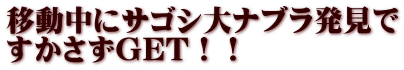 移動中にサゴシ大ナブラ発見で すかさずGET！！