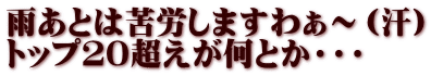 雨あとは苦労しますわぁ～（汗） トップ２０超えが何とか・・・