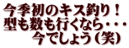 今季初のキス釣り！ 型も数も行くなら・・・ 　　今でしょう（笑）