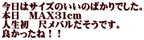 今日はサイズのいいのばかりでした。 本日　MAX３１ｃｍ 人生初　尺メバルだそうです。 良かったね！！