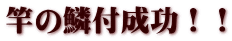 竿の鱗付成功！！
