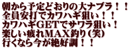 朝から予定どおりの大ナブラ！！ 全員安打でカワハギ狙い！！ カワハギGETでサワラ狙い！ 楽しい疲れMAX釣り（笑） 行くなら今が絶好調！！