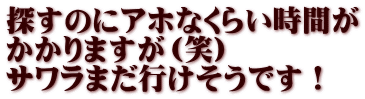 探すのにアホなくらい時間が かかりますが（笑） サワラまだ行けそうです！