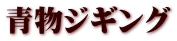 青物ジギング