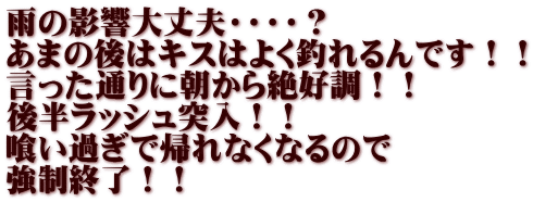 雨の影響大丈夫・・・・？ あまの後はキスはよく釣れるんです！！ 言った通りに朝から絶好調！！ 後半ラッシュ突入！！ 喰い過ぎで帰れなくなるので 強制終了！！