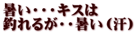 暑い・・・キスは 釣れるが・・暑い（汗）
