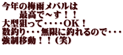 今年の梅雨メバルは 　　最高で～す！！ 大型狙って・・・・OK！ 数釣り・・・無限に釣れるので・・・ 強制移動！！（笑） 　