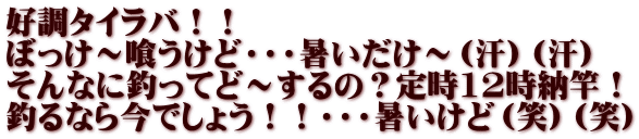 好調タイラバ！！ ぼっけ～喰うけど・・・暑いだけ～（汗）（汗） そんなに釣ってど～するの？定時12時納竿！ 釣るなら今でしょう！！・・・暑いけど（笑）（笑） 