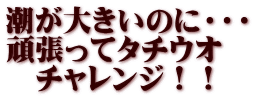 潮が大きいのに・・・ 頑張ってタチウオ 　チャレンジ！！