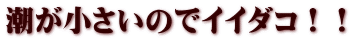 潮が小さいのでイイダコ！！