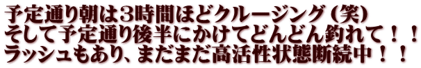予定通り朝は3時間ほどクルージング（笑） そして予定通り後半にかけてどんどん釣れて！！ ラッシュもあり、まだまだ高活性状態断続中！！